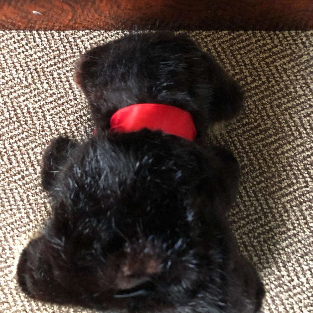 COLLECTIBLE “RARE BEAR”. - Picture 2 of 9